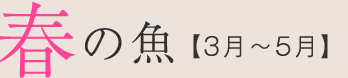 春の魚【3月〜5月】