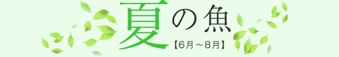 夏の魚【6月〜9月】