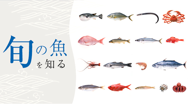 旬の魚を知る