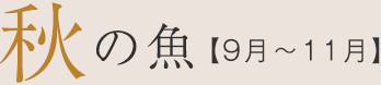 秋の魚【9月〜11月】