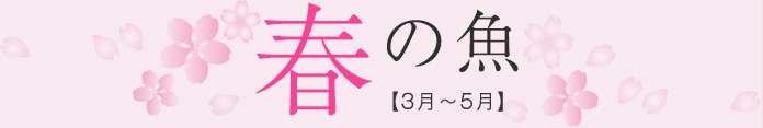 春の魚【3月〜5月】