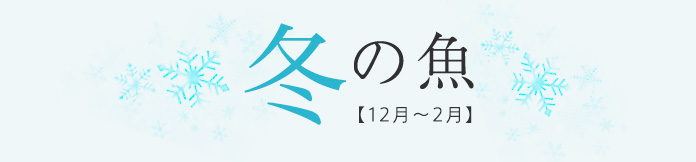 冬の魚【12月〜2月】